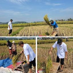 Supervision of Paddy Survey Subround I 2024